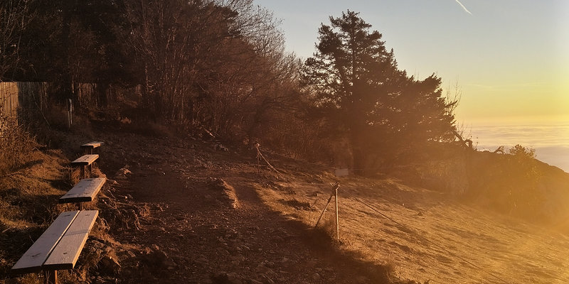 Schatten Licht / Sgarz Christine