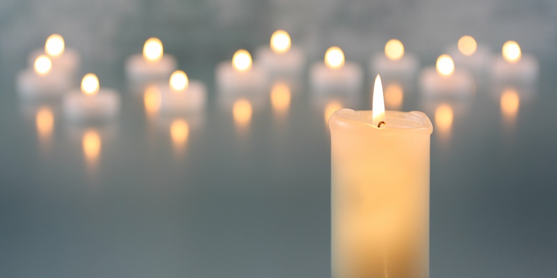 ©Bernd S. - stock.adobe.com