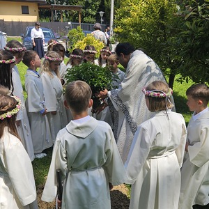 Baumpflanzung im  Hain