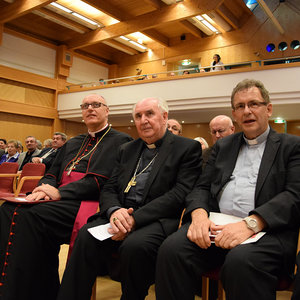 St. Martinsfest 2015