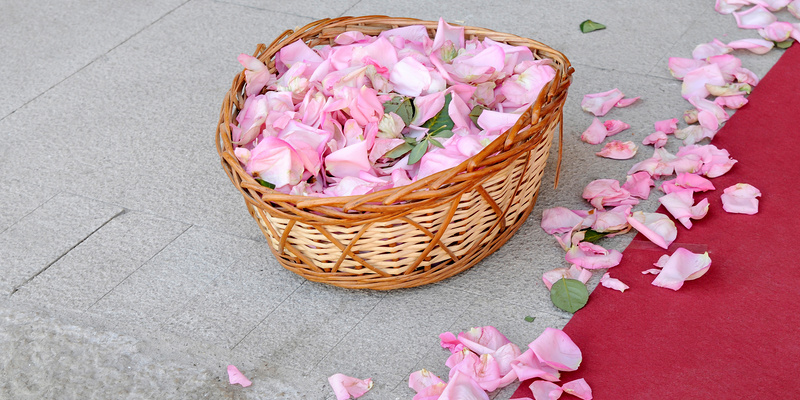 ©NATI - stock.adobe.com