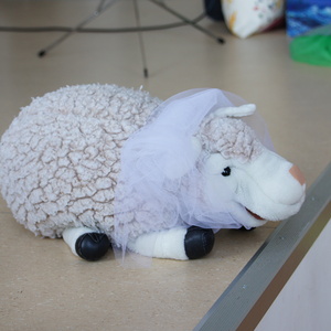 SONY DSC                       