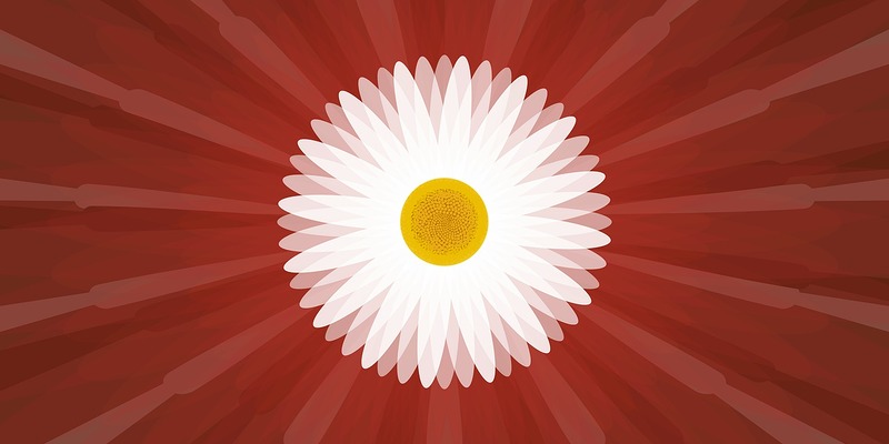 ooceey pixabay