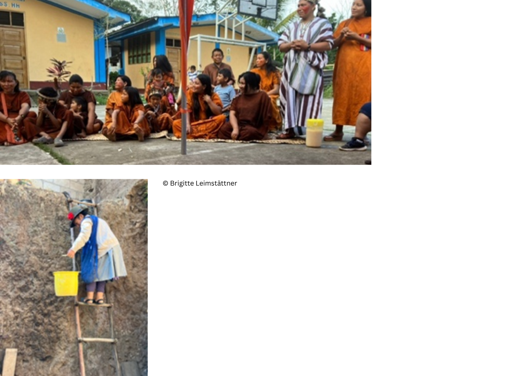 © Brigitte Leimstättner