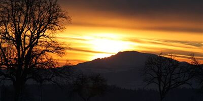 Hügel und Baum, dunkele Silhouetten im Gegenlicht des aufstrahlenden Lichtes der Sonne
