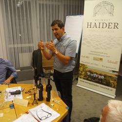 Weinverkostung der besten - prämierten Weine in Gold - durch Juniorchef Haider vom Weingut Haider in Neusiedl/See