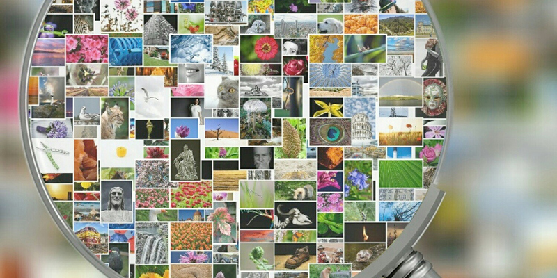 fotosuche_collage_pixabay / © gemeinfrei / cc0-Lizenz